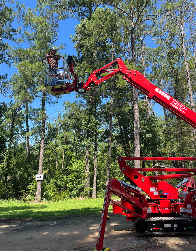 The J Team Tree Service Arborist Services