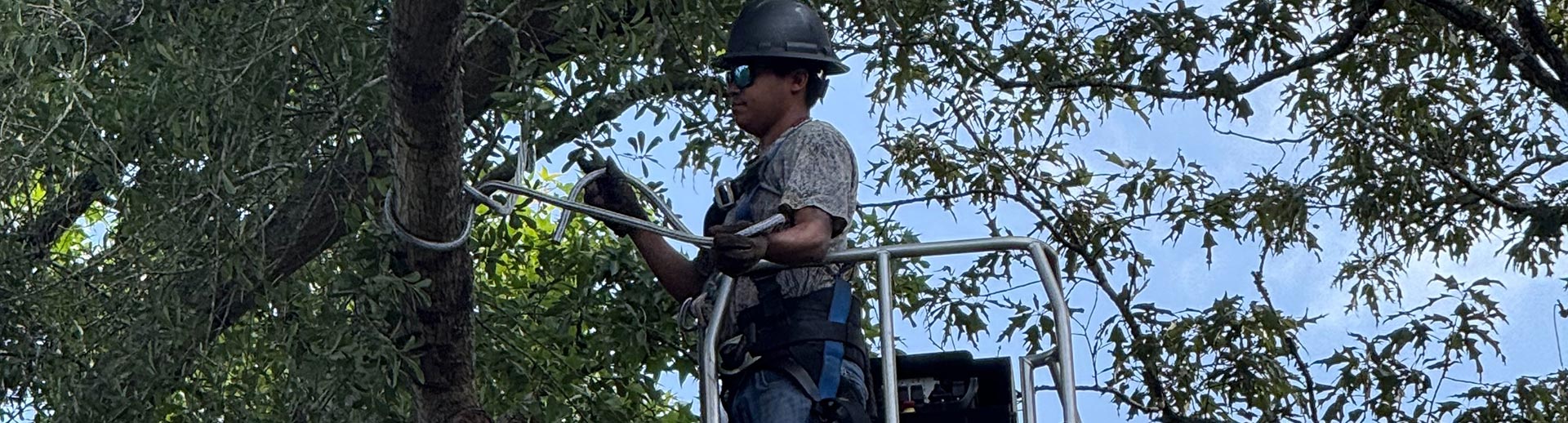 The J Team Tree Service